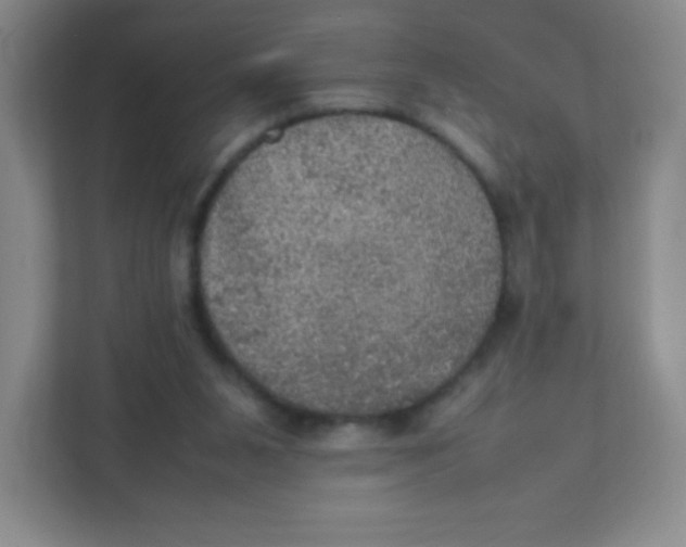 X0000111470111200908101122