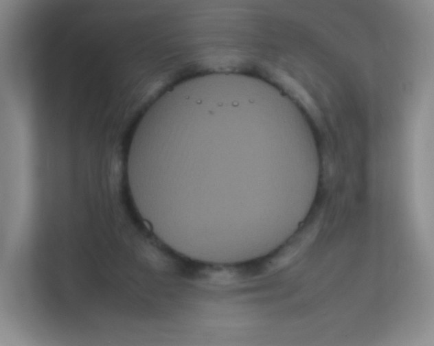 X0000111470113200908101122