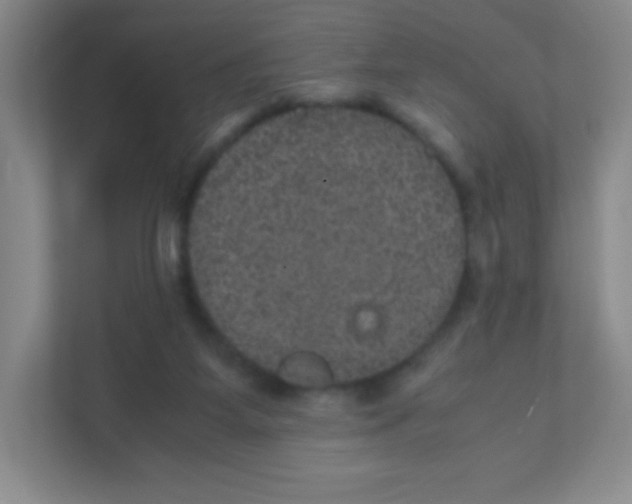 X0000111470115200908101122