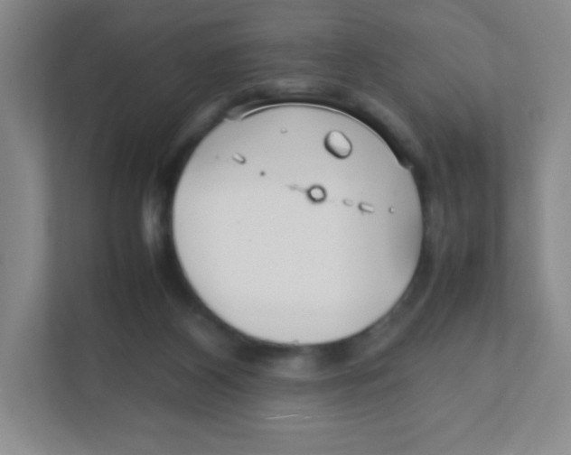 X0000111470116200908101122