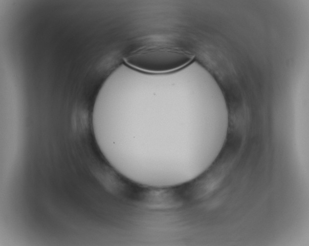 X0000111470117200908101122