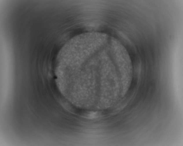 X0000111470130200908101122