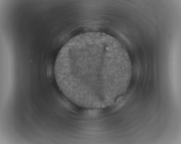 X0000111470134200908101122