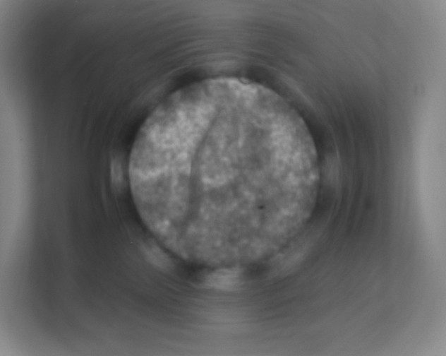 X0000111470138200908101122