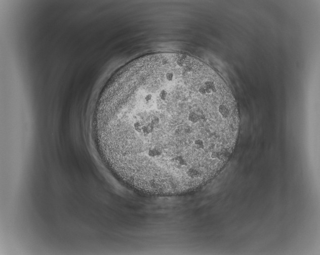 X0000111470145200908101121