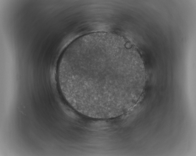 X0000111470146200908101121