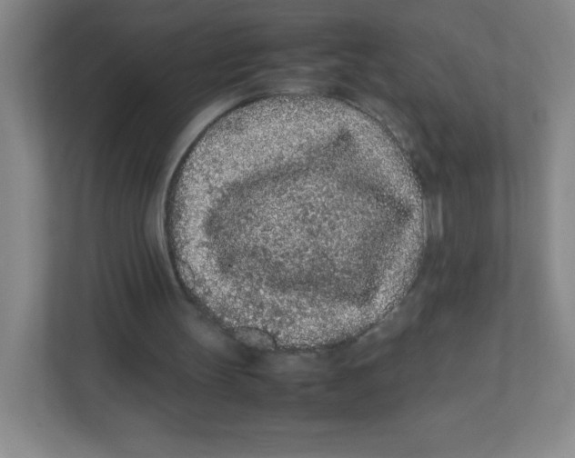 X0000111470147200908101121