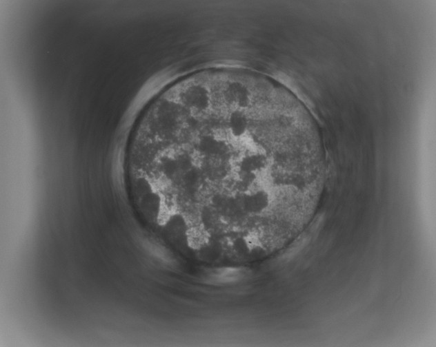 X0000111470151200908101121