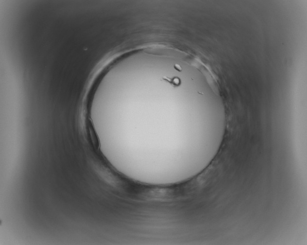 X0000111470152200908101121