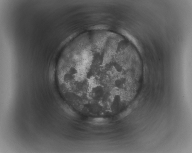 X0000111470153200908101121