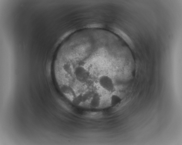 X0000111470155200908101121