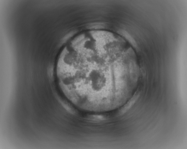 X0000111470159200908101122