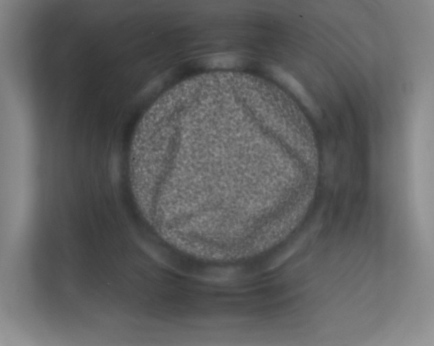 X0000111470161200908101122