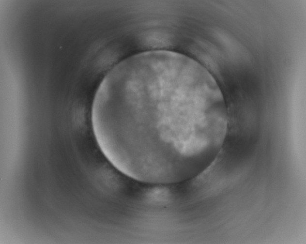 X0000111470162200908101122