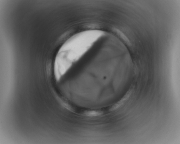 X0000111470163200908101122