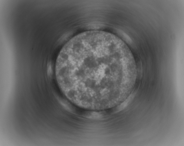 X0000111470166200908101122