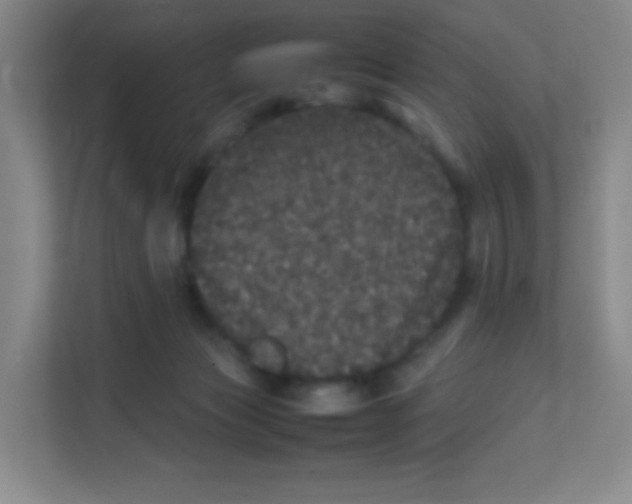 X0000111470173200908101122