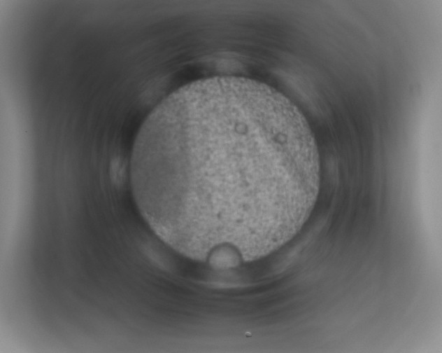 X0000111470177200908101122