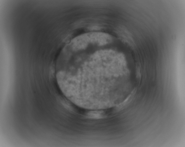 X0000111470179200908101122