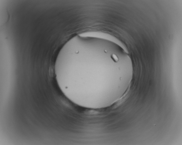 X0000111470180200908101122