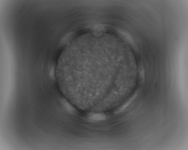 X0000111470185200908101122