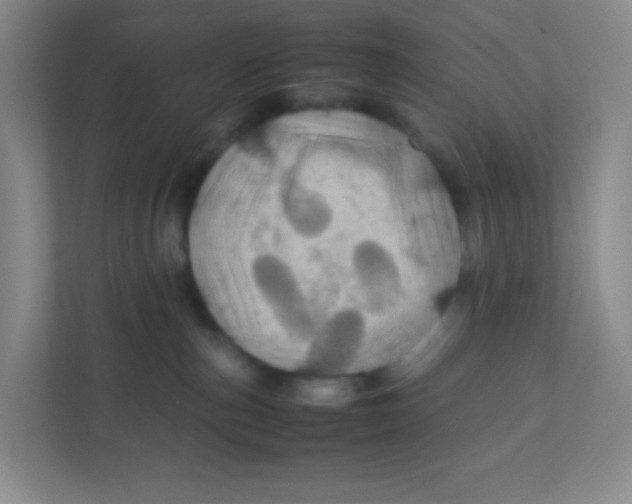 X0000111470187200908101122