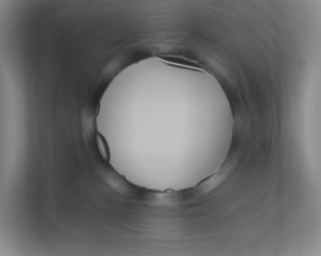 X0000111470188200908101122