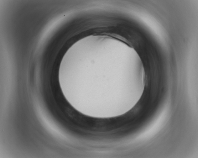 X0000111470190200908101122