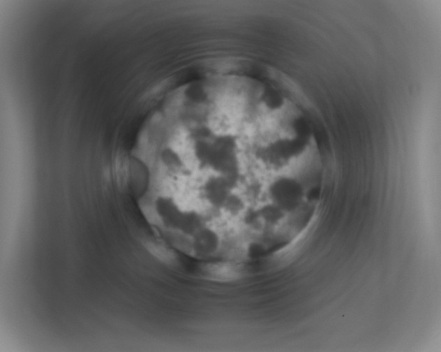 X0000111470191200908101122