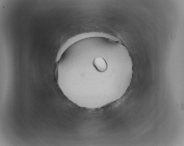 X0000111470192200908101122