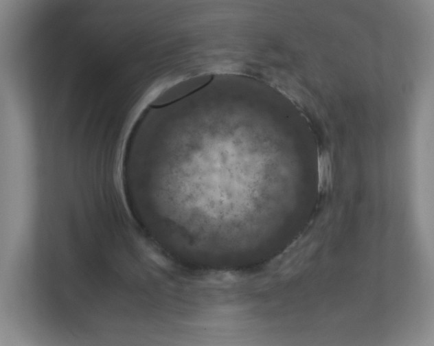 X0000111470195200908101121