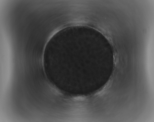 X0000111470196200908101121