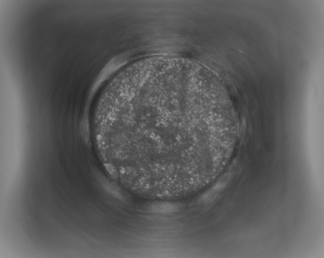 X0000111470198200908101121