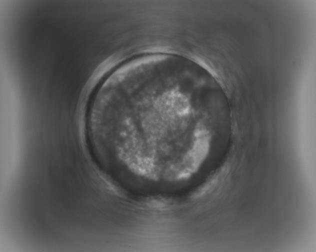 X0000111470199200908101121