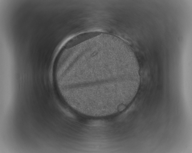 X0000111470200200908101121