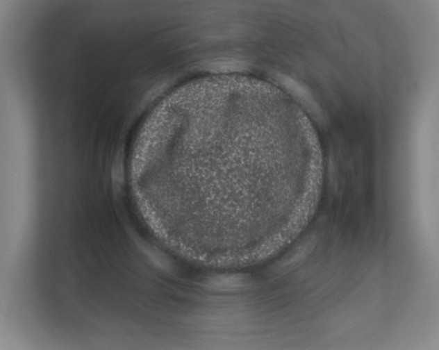 X0000111470202200908101121