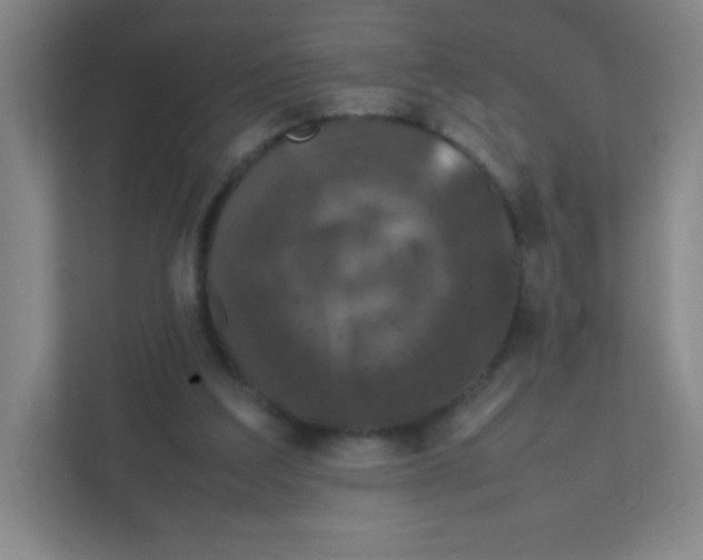 X0000111470203200908101121