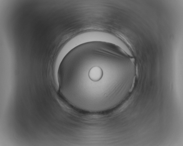 X0000111470205200908101121