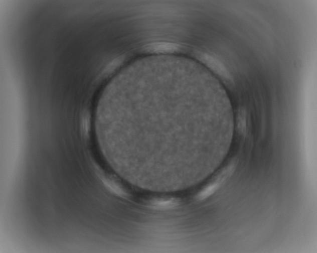 X0000111470206200908101121