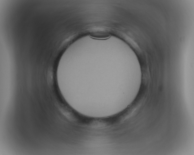 X0000111470207200908101121