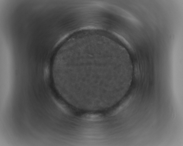 X0000111470208200908101121