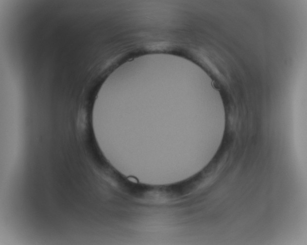 X0000111470211200908101121