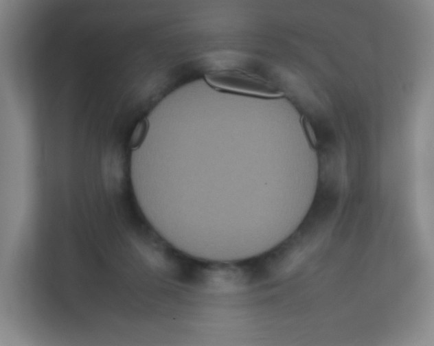 X0000111470215200908101121