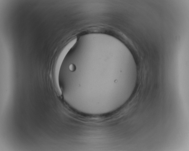 X0000111470217200908101121