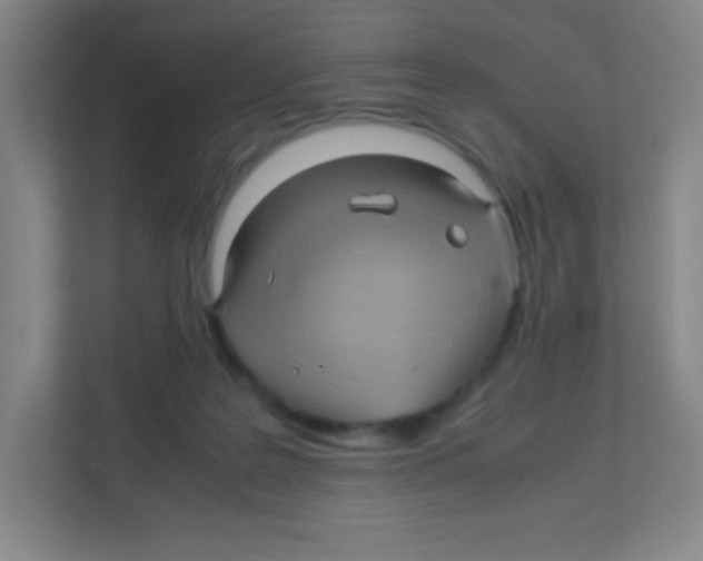 X0000111470219200908101121