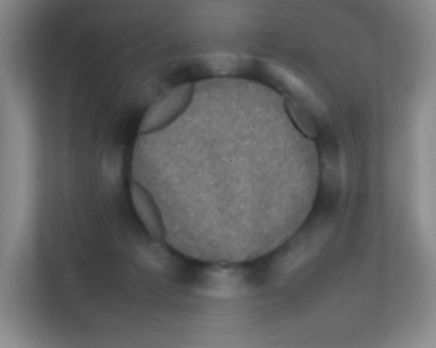 X0000111470221200908101121