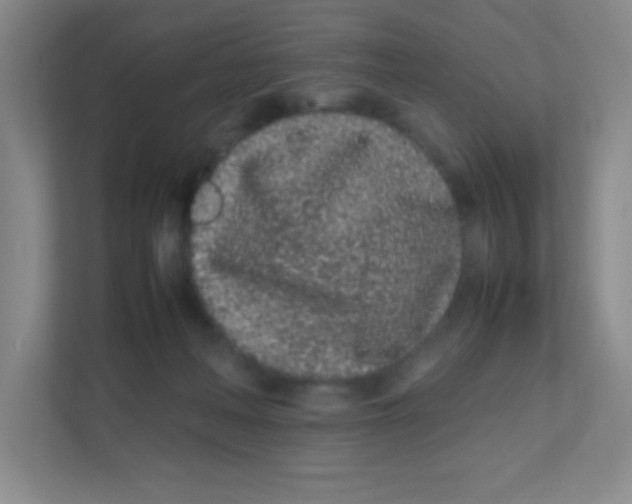 X0000111470222200908101121