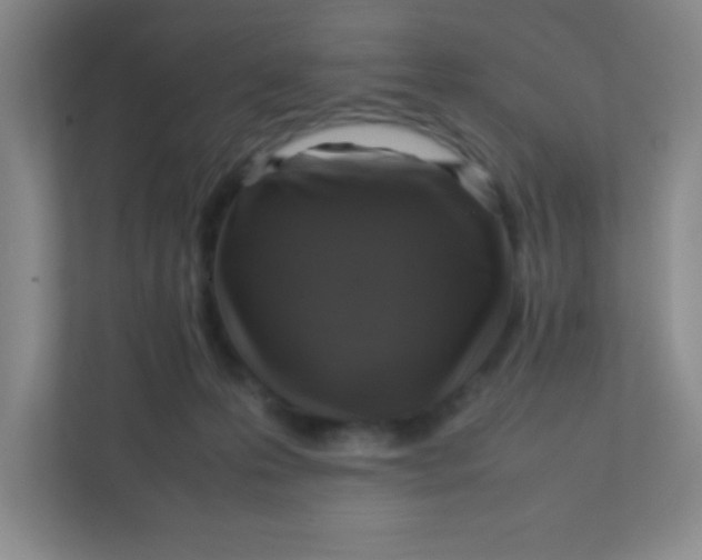 X0000111470223200908101121