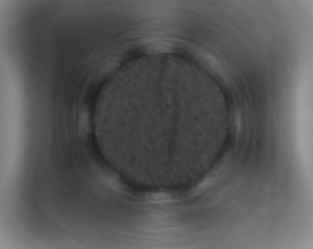 X0000111470224200908101121