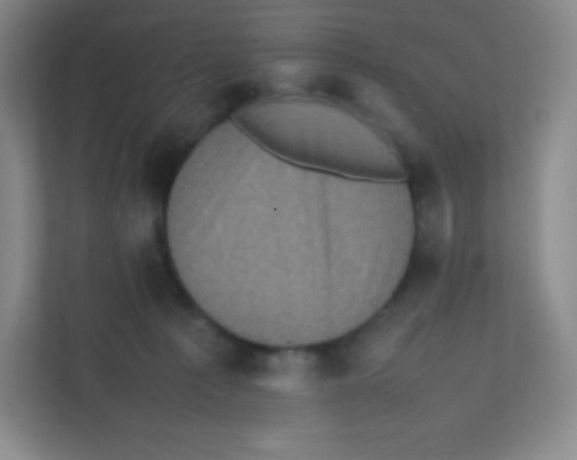 X0000111470225200908101121